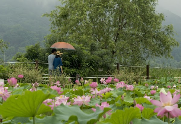 Semiwon Garden 5