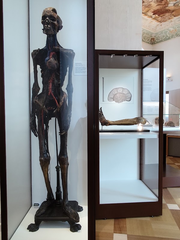 German Museum of Medicine History 3