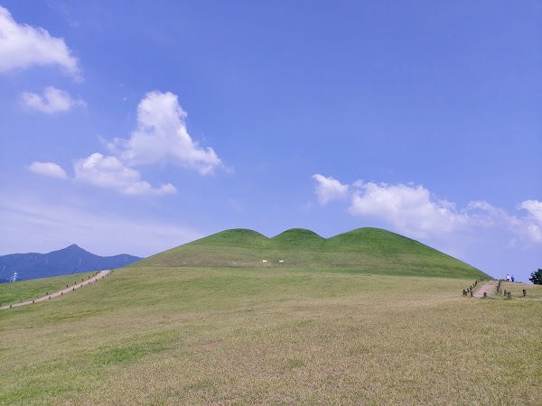 송학동고분군