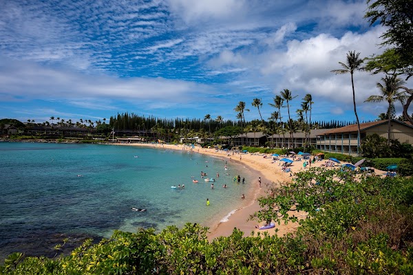 Napili Bay