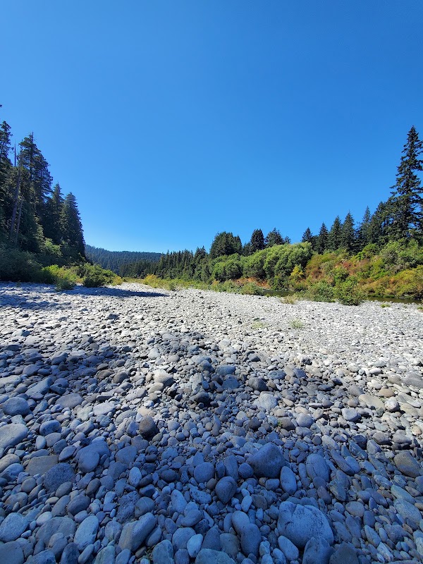 Grove Of Titans Trail 3