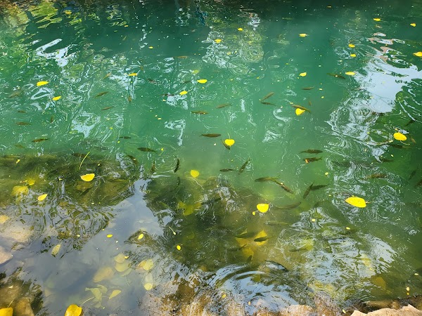 Blue Lagoon 1 and Phu Kham Cave Vang Vieng 3