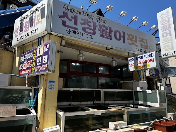 선창활어회집