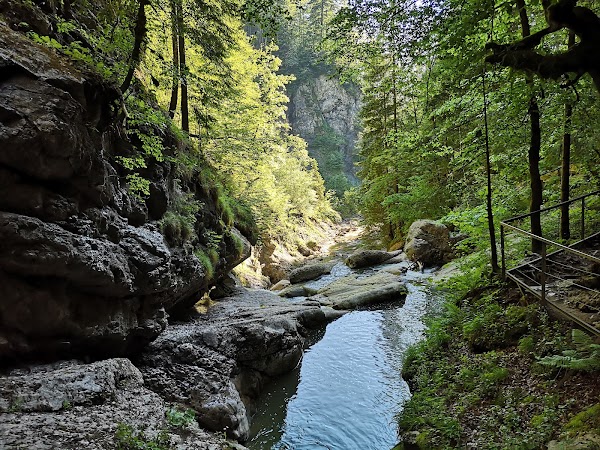 Starzlachklamm 5