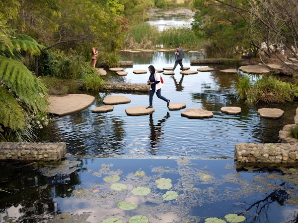 Sydney Park 3