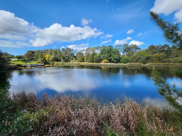 Sydney Park 2
