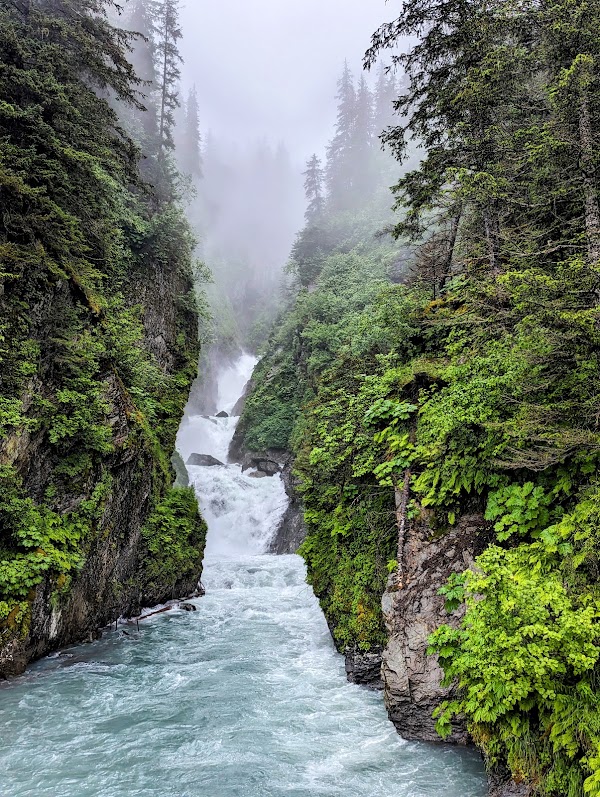 The Solomon Gulch Hatchery 4