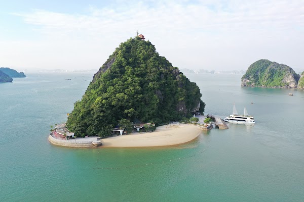 Ti Top Island 5