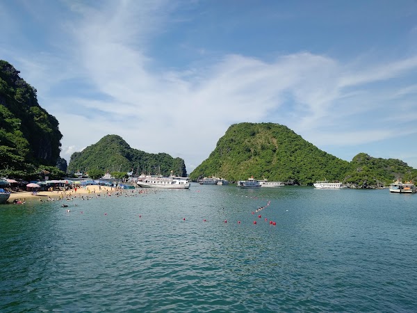 Ti Top Island 4