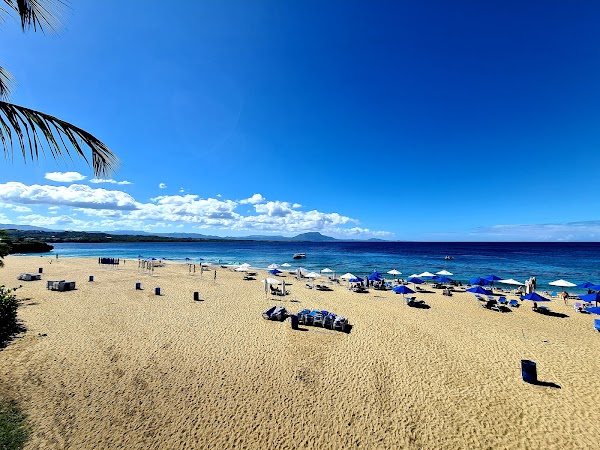Playa Alicia 1