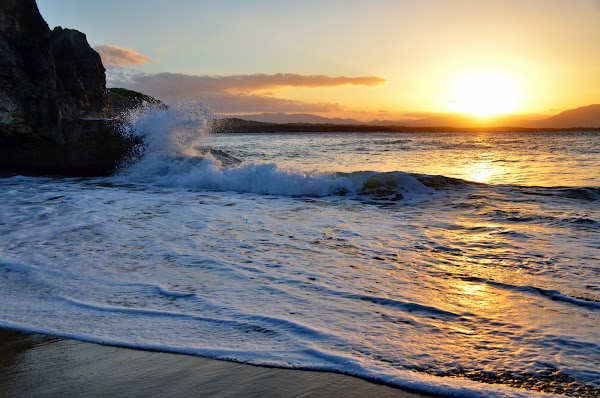 Playa Alicia 2