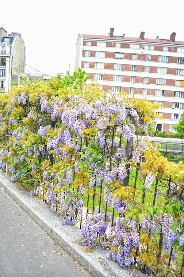 Floral City