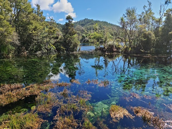 Te Waikoropupu Springs 1