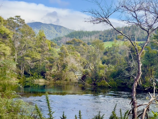 Te Waikoropupu Springs 4
