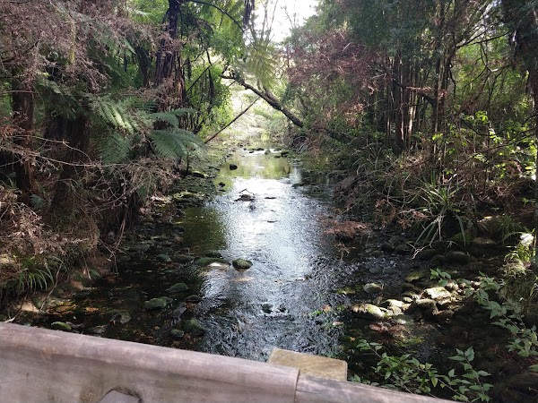 Te Waikoropupu Springs 2
