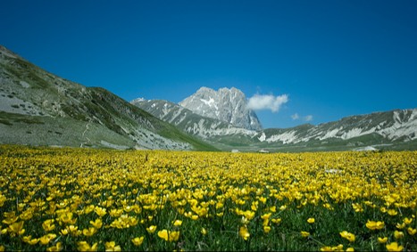 Campo Imperatore