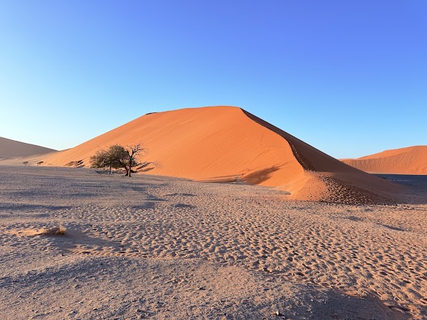 Africa 39