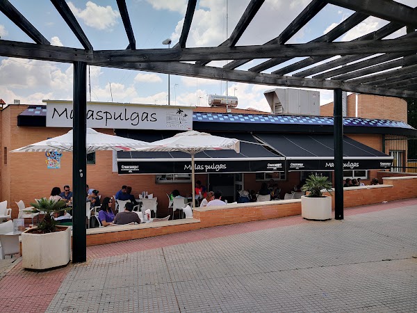 Malaspulgas Café Tapas 1