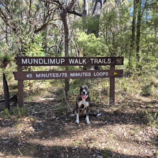Mundlimup Timber Trail 1