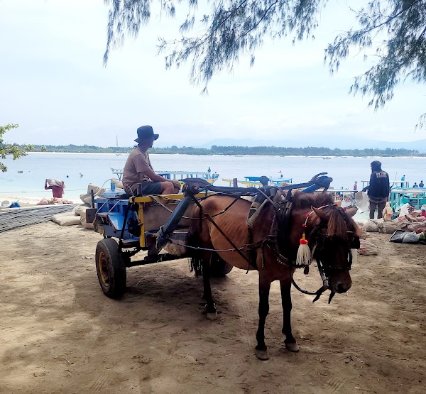 Gili Trawangan 5