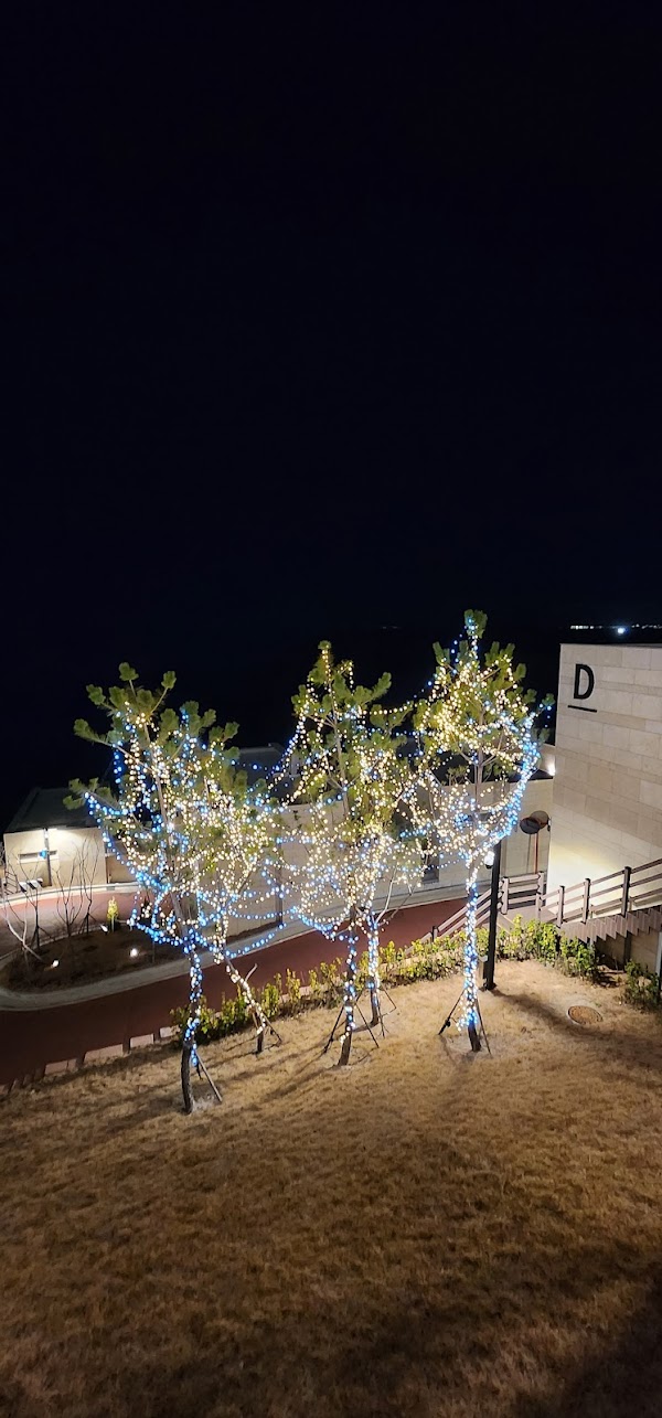 Korea 2026 🌸✈️ 18