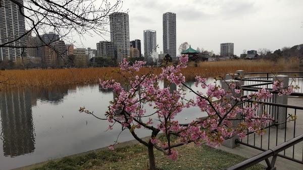 Uenokoen 2
