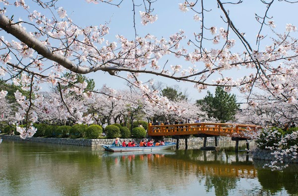 Sakura Castle Ruins Park