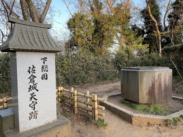 Sakura Castle Ruins Park 4