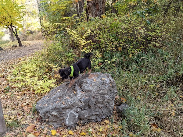 Okanagan Falls 4