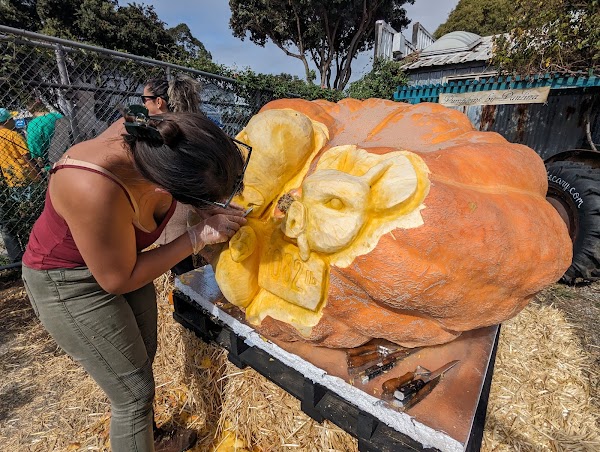 Half Moon Bay Art and Pumpkin Festival
