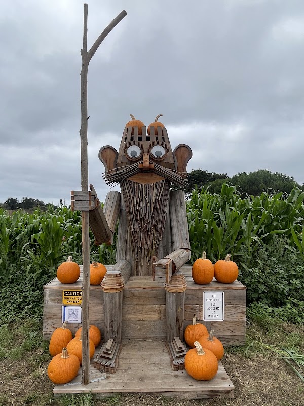 Half Moon Bay Art and Pumpkin Festival 5