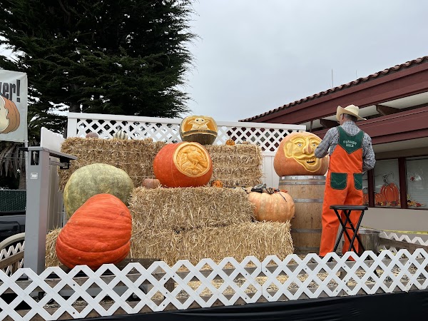 Half Moon Bay Art and Pumpkin Festival 4