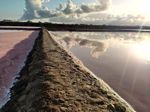 Salinas do Forte do Rato 2