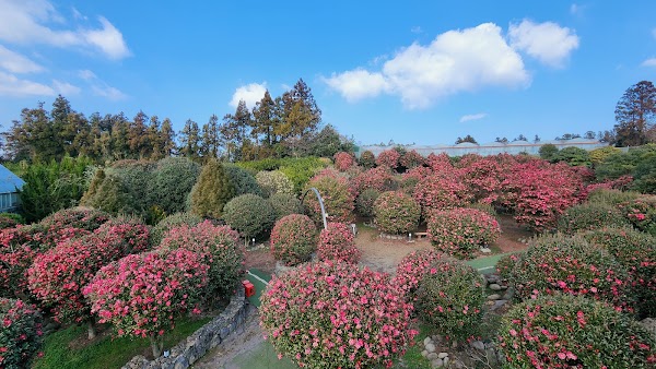Father's Garden 4