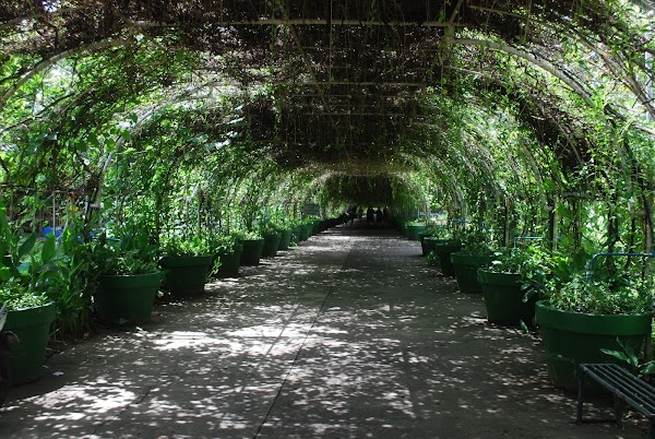 Garin Farm - ﻿Heaven On Earth 2