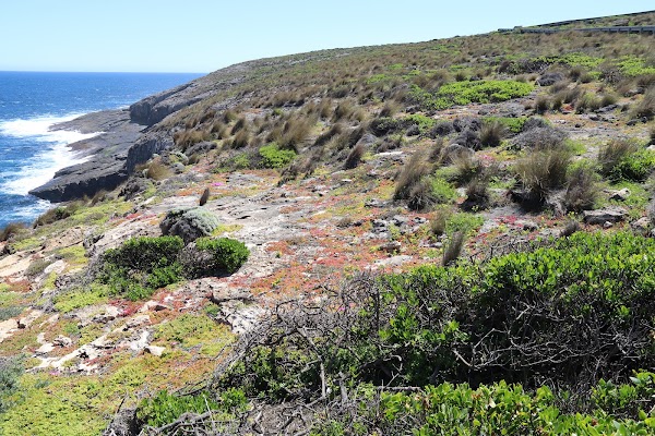Kangaroo Island 4