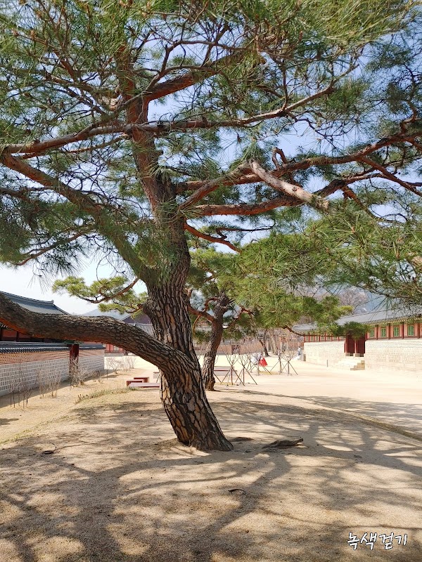 Chimneys in Amisan Garden 4