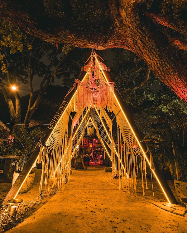 Palapa 1