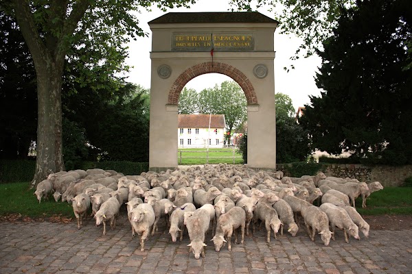 Bergerie nationale de Rambouillet