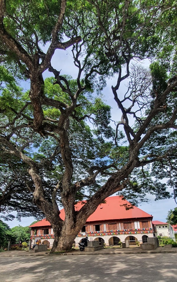 Lazi Convent 2