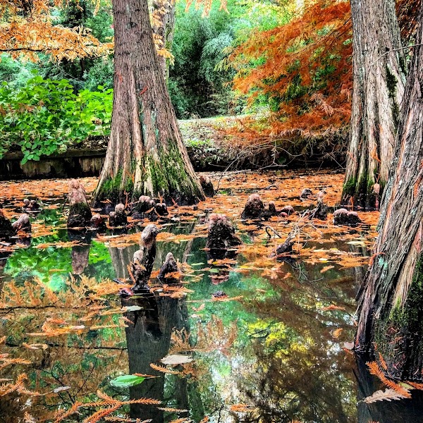 Ataturk Arboretum 3