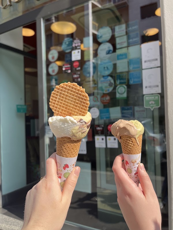 Il Massimo del Gelato 3