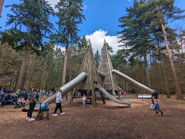 Thetford Forest 2