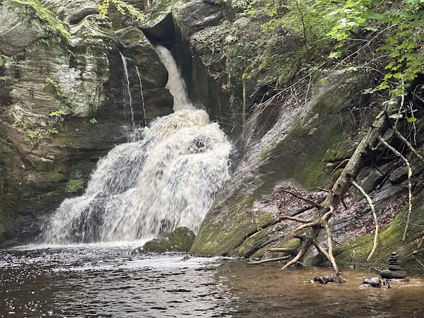 Enders Brooks Falls 1