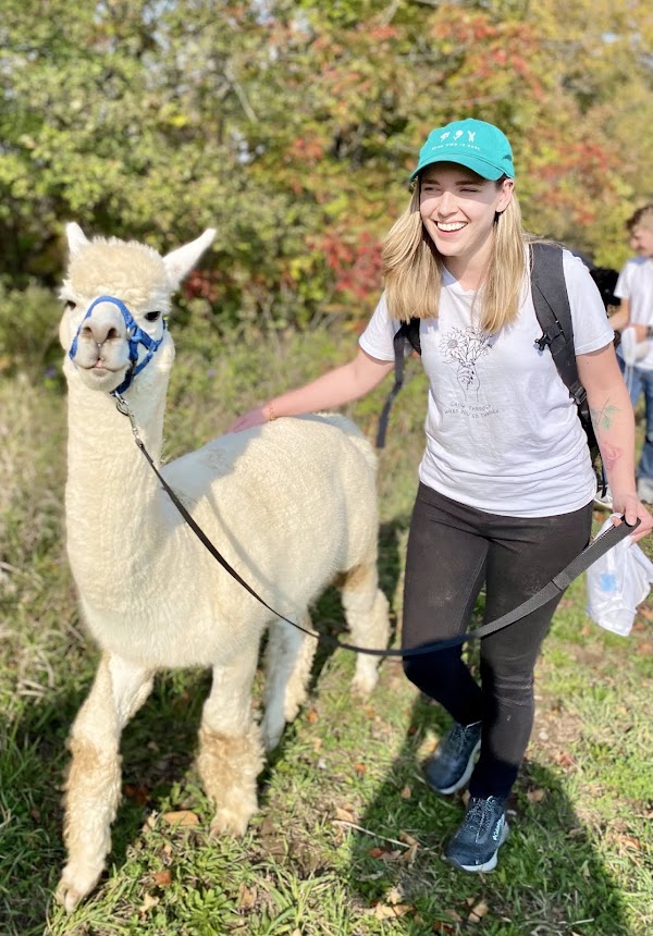 Wanderlight Alpaca Experience 4