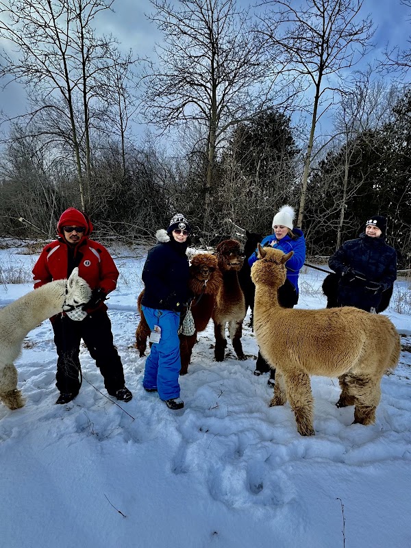 Wanderlight Alpaca Experience 2