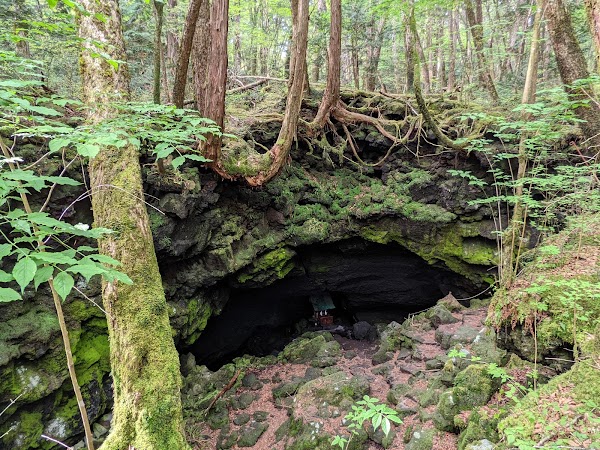 The Dragon Cave 1