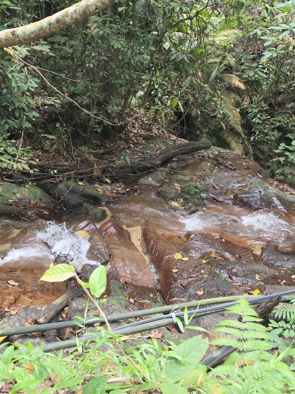 Bukit Madei 5