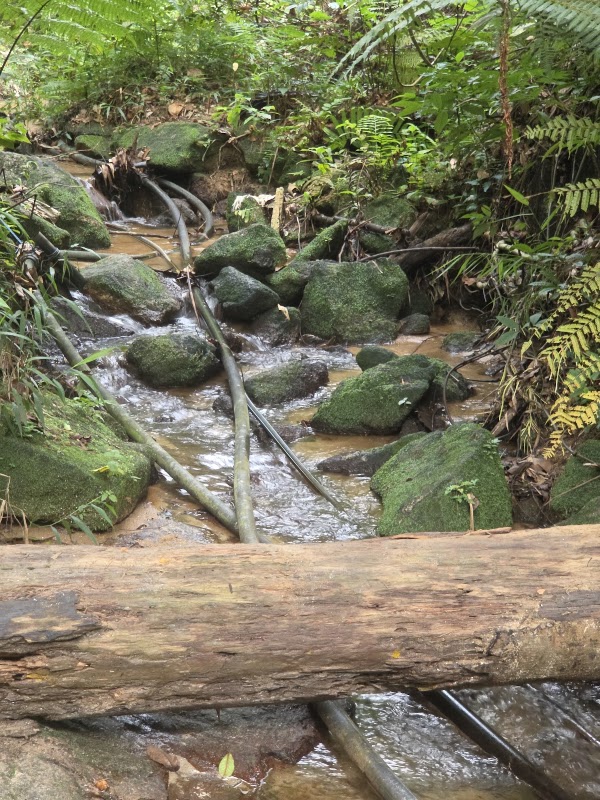 Bukit Madei 3