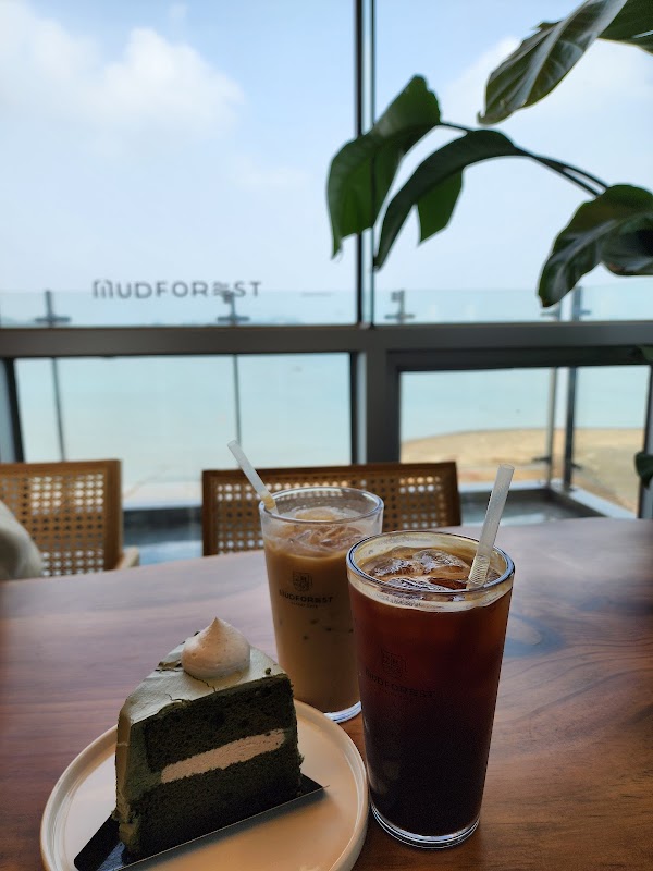 머드포레스트 3